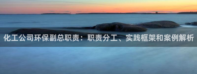 亿万的亿：化工公司环保副总职责：职责分工、实践框架和案例解析