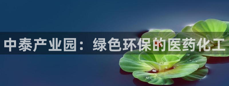 亿万先生官方网站下载：中泰产业园：绿色环保的医药化工